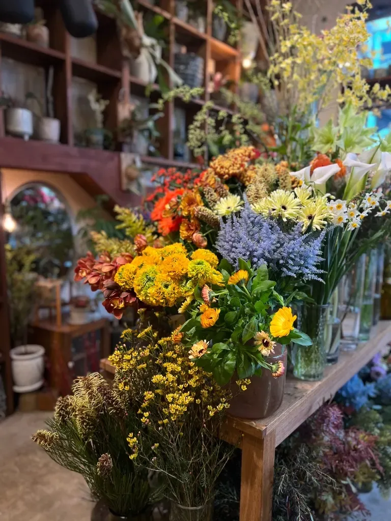 SunLips の花と空間のイメージ